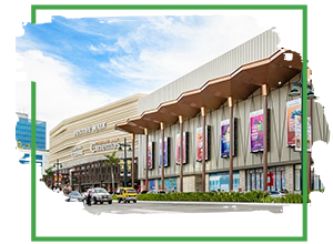 Commercial Mall paste control